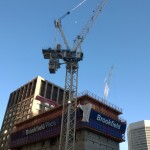 Calgary bird: Crane